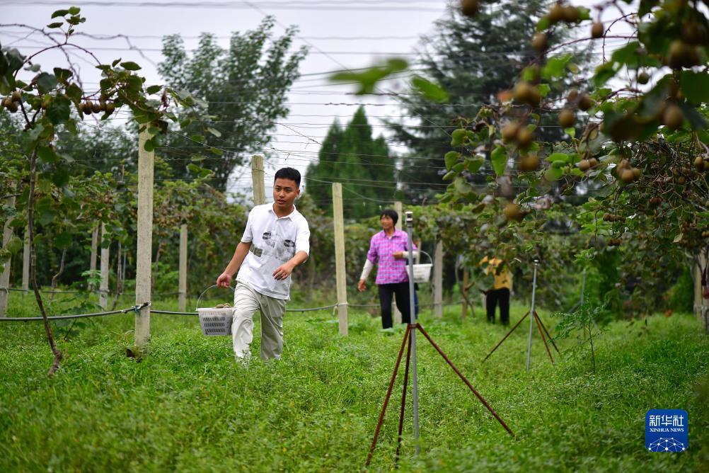 牛牛游戏正版下载
